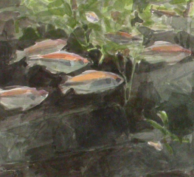 fische3